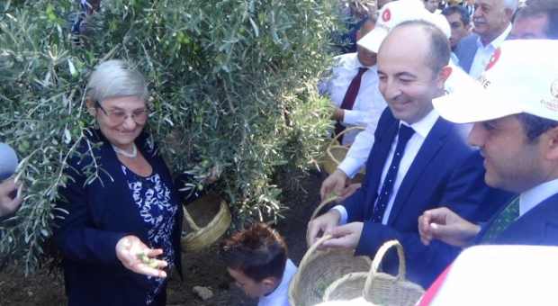 Karatay zeytinyağı hakkında uyardı!