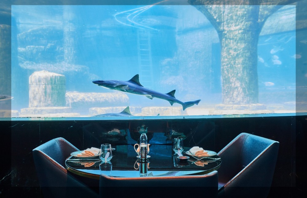 Nemo, deniz altı atmosferiyle İstanbul’da